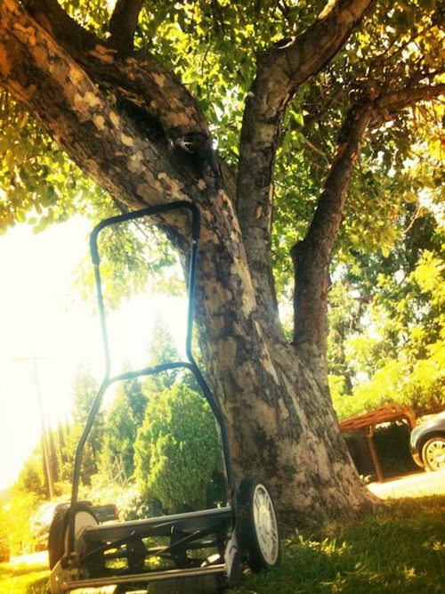 our_lawn_mower.jpg