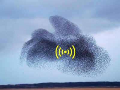 robotic-wi-fi-swarm-1.jpeg
