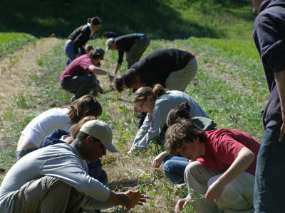 students_working__pie_ranch.jpg