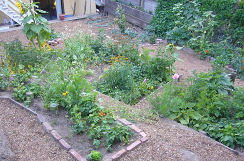 zach_garden_aug_2010.jpg