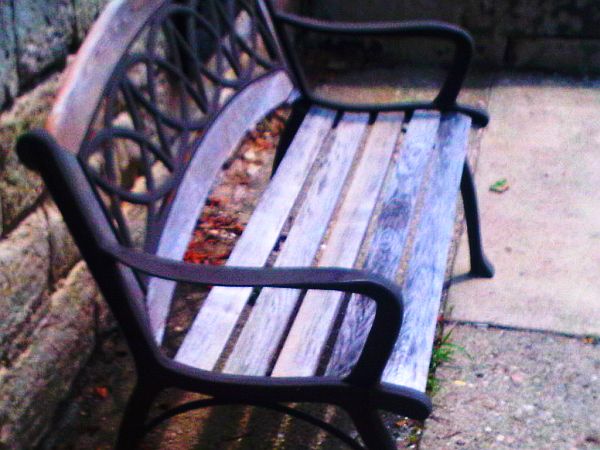 img00556-20110614-1411.jpg