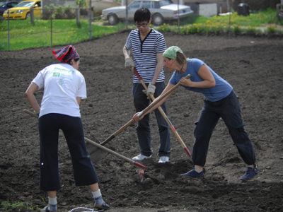 people-gardening-together.jpg