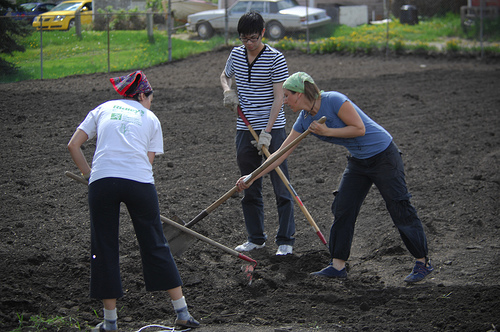 people-gardening-together.jpg