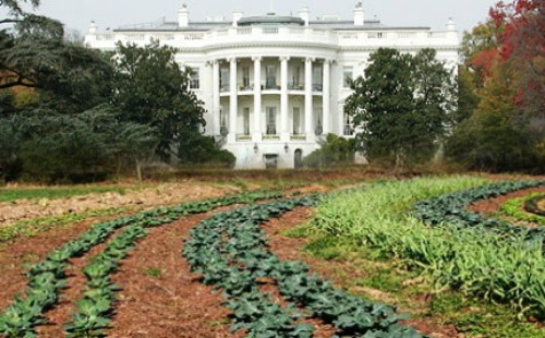 whitehousegarden.jpg