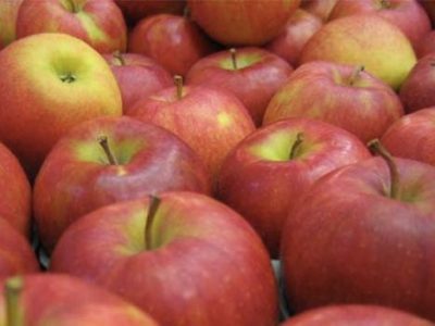 apples-for-store.jpg