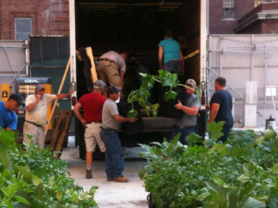 riverpark-pop-up-farm-manhattan.jpg