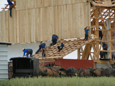 amish.jpg