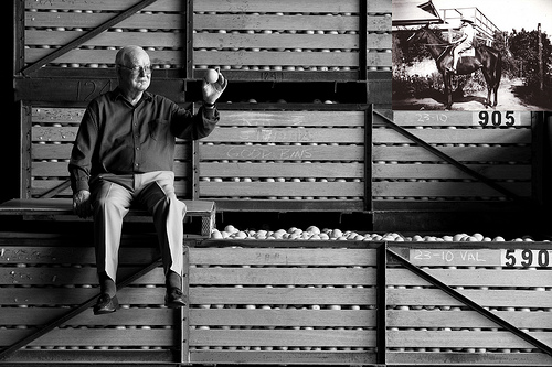 In the 1960s, John Gregory built up the Waikerie Shed co-op to become Australia's biggest packing shed. Photo by Rain Moth Gallery on Flickr.