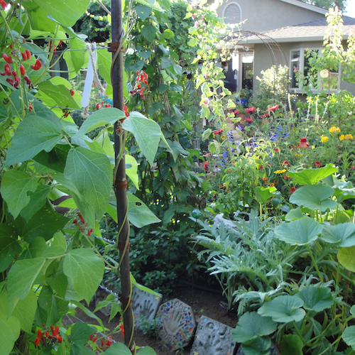 lush_edible_garden_2011.png