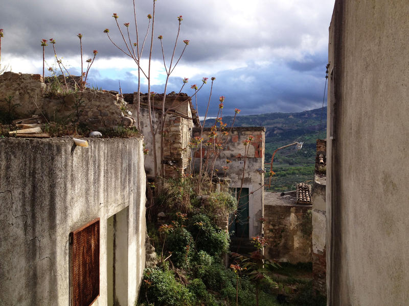 5_nature_andrea_paoletti.jpg