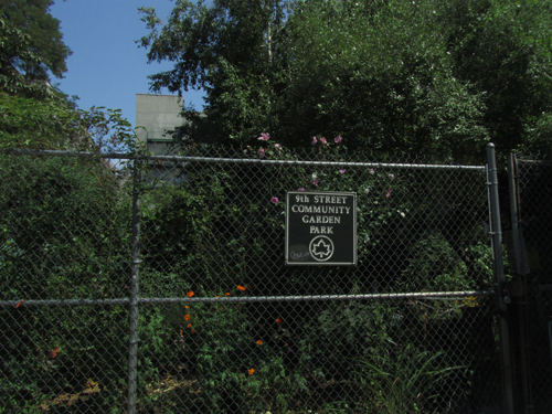 The 9th Street Community Garden today. 