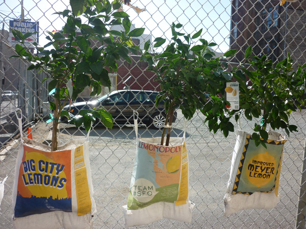 The Fruit Fence. Photo by Sven Eberlein