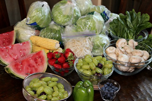 Dumpster diving often yields lots of fruits and veggies