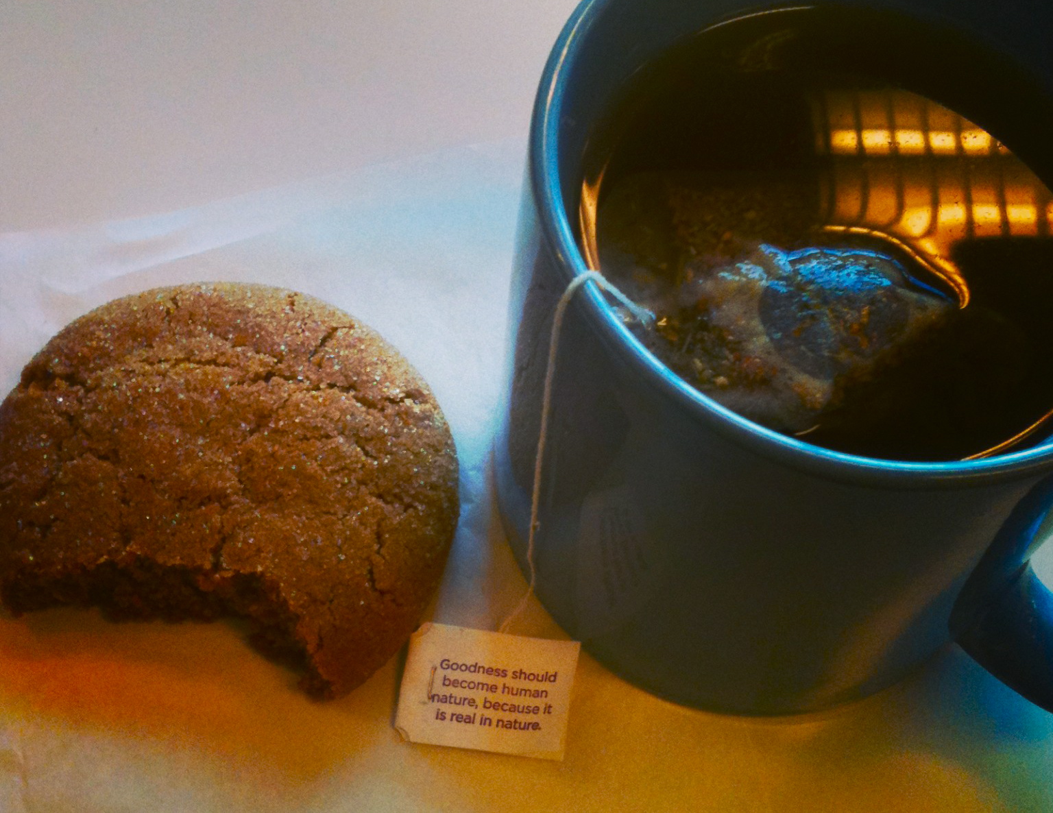 This innocent ginger snap actually represents a 20 minute conversation with the cafe barista about books and soup. 