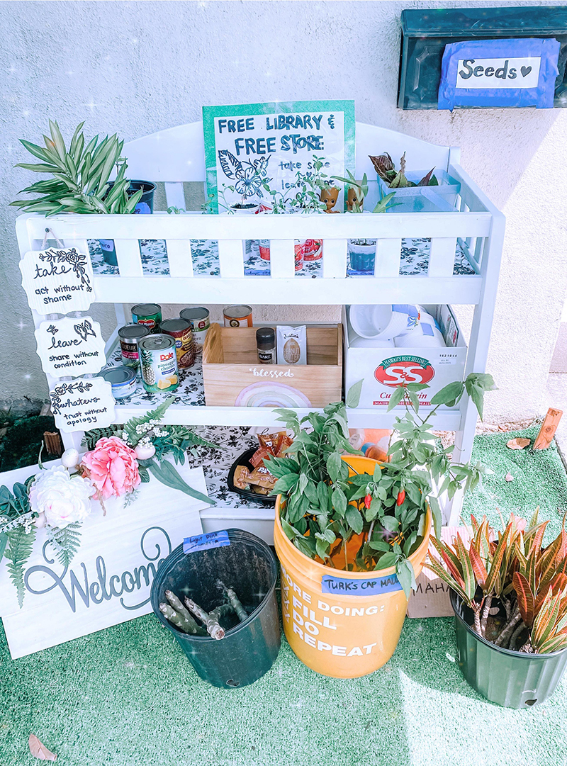 Hawai'i Free Store shelf with food, plants, and seeds
