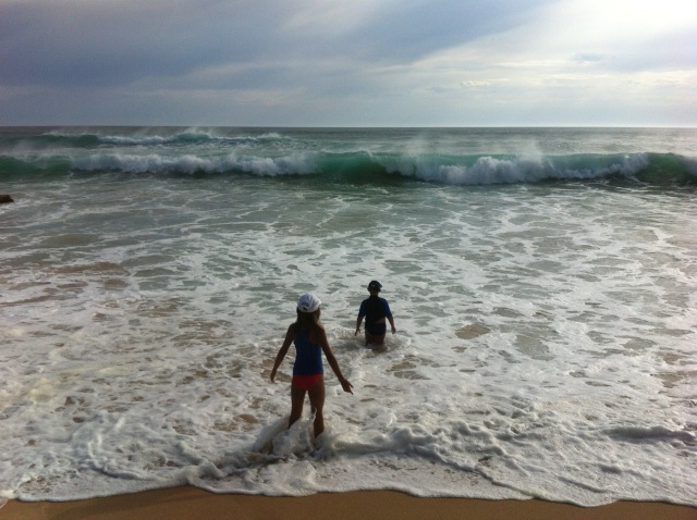 Living on Gunnamatta Beach on the edge of the Great Southern Ocean, Mornington Penninsula, Australia.