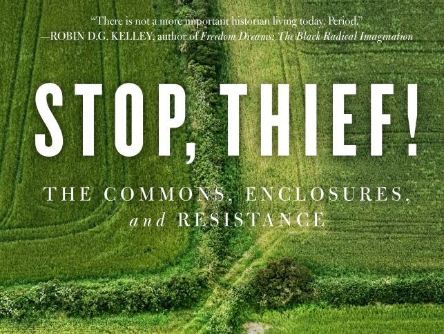 stop thief cap.JPG
