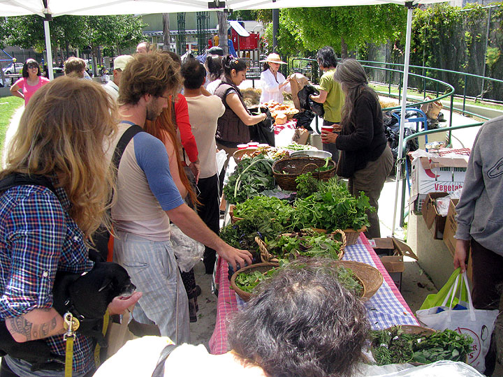 Free-farm-stand-greens_7954.jpg