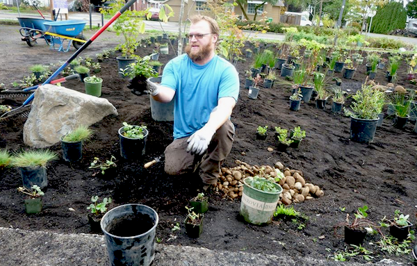 depaving; Once you've depaved, you can get to work creating a garden or greenspace. Credit: Depave