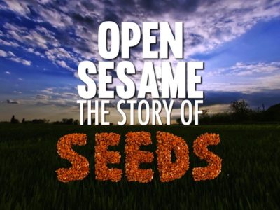 OpenSesameFilm.jpg