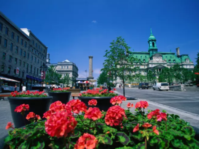 montreal in spring.png