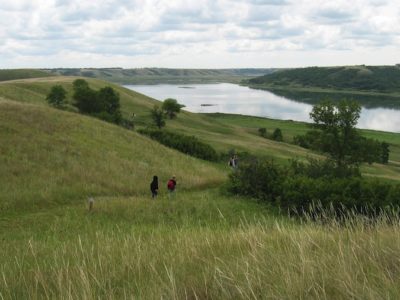 Stay Sane on Black Friday