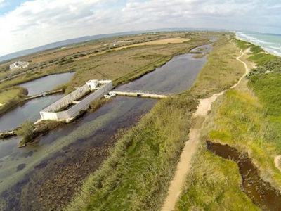 Dune_Costiere_Park (20).jpg