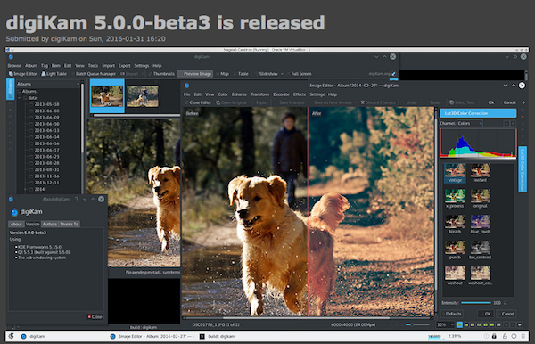 Digikam, digital photo management application