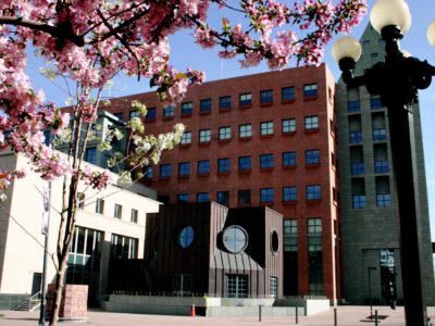 Central at Cherry Blossom time Canon 001.jpg