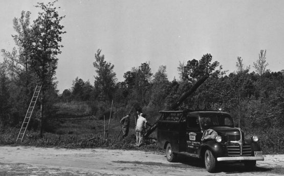 Newberry_County,_South_Carolina._Setting_R._E._A._poles_by_Newberry_County_Electric_Cooperative,_Inc_._._._-_NARA_-_522774.tif 2.jpg