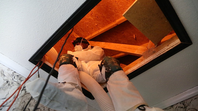 A person blows insulation into an attic. Photo courtesy of North Carolina's Roanoke Membership Corporation, via Flickr