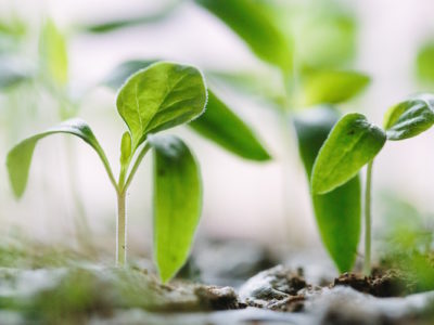 francesco-gallarotti-72602 (1).jpg