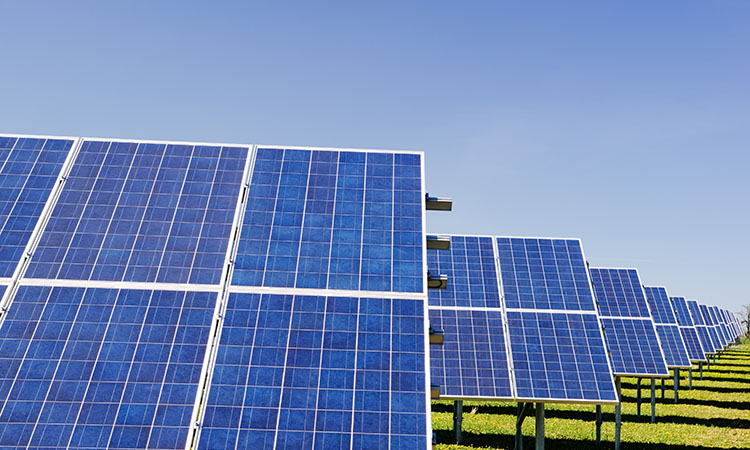 solar farm.jpg