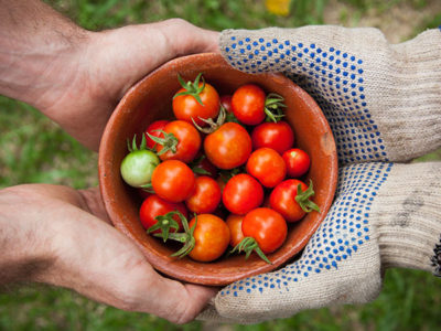 Urban agriculture incentive zone.jpg