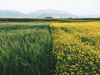 underpinning the commons.jpg