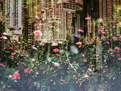 Hayden Williams-Cityscape resized.jpg