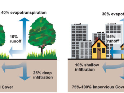 Green Infrastructure