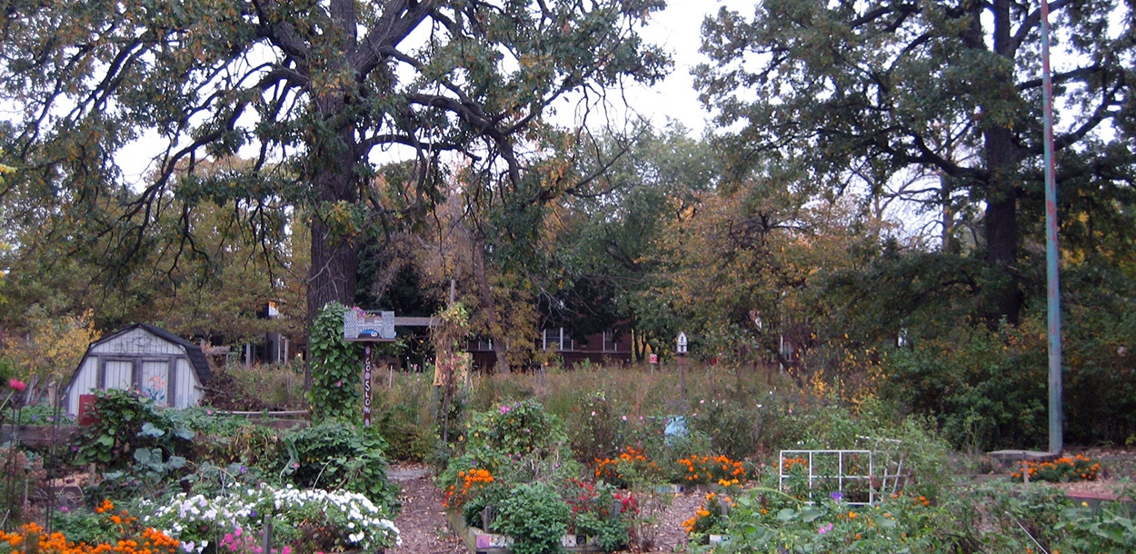 Community Garden Chicago- Large Lots