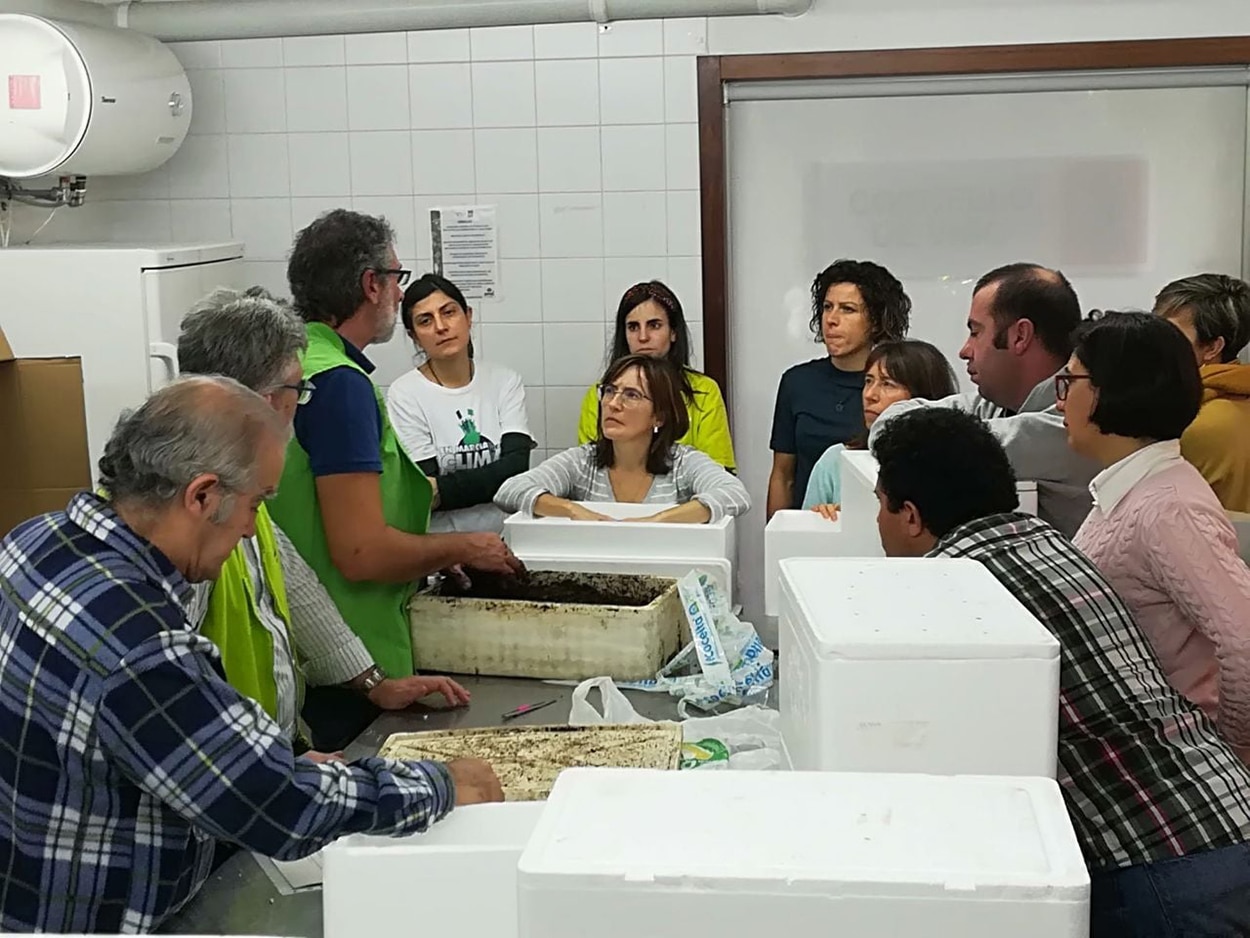 Group of people learning