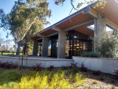 My uneven first steps in #LocalYear