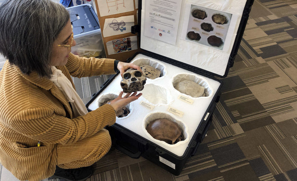 Public libraries are expanding the sharing economy by adding Libraries of Things to their catalogs