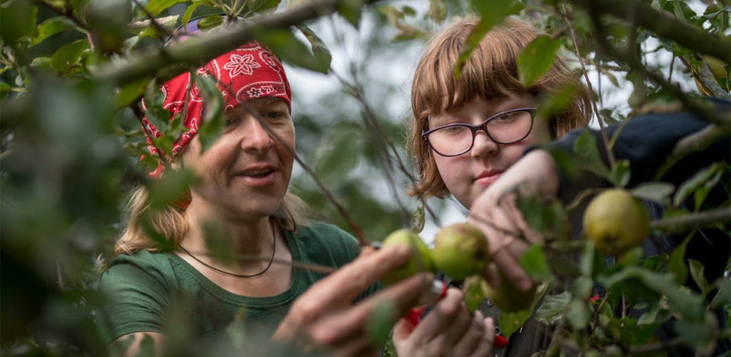 Project builds and re-fruits urban communities across the UK