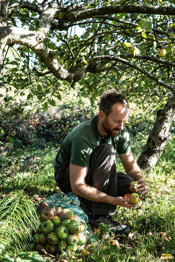 Project builds and re-fruits urban communities across the UK