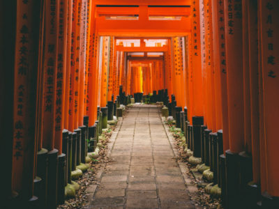 The pandemic isn't a portal, yet | Torii gates at the Fushimi Inari-taisha shrine in Kyoto, Japan. Torii gates mark the entrance to the sacred from the profane. Credit: wallpaperflare.com