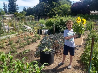 Finding my #LocalYear rhythm