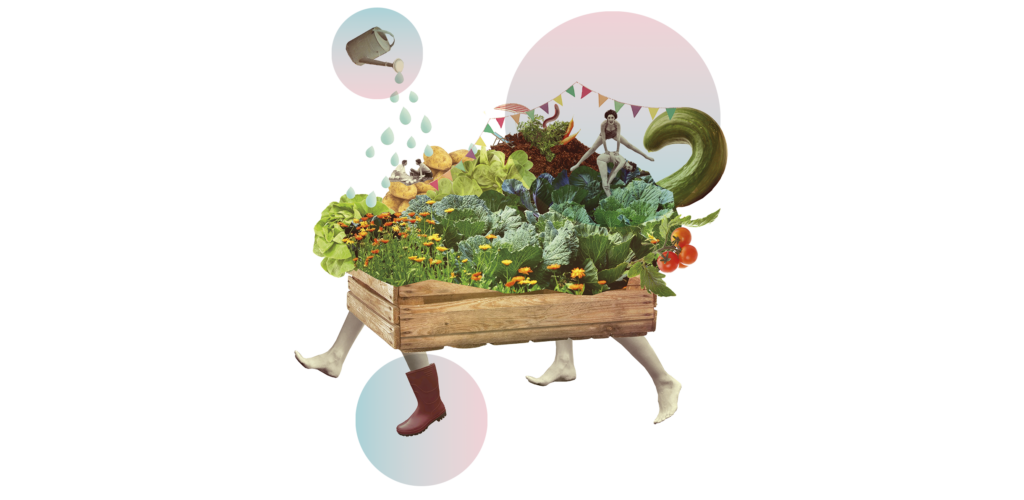 Düsselgrün: An urban commons in the heart of Düsseldorf