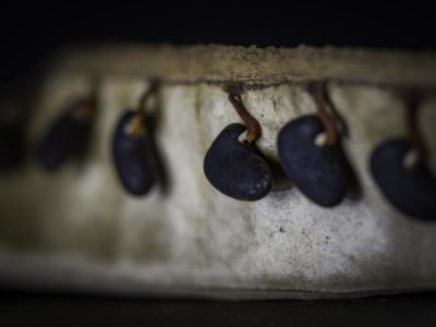 seed libraries; seed sharing