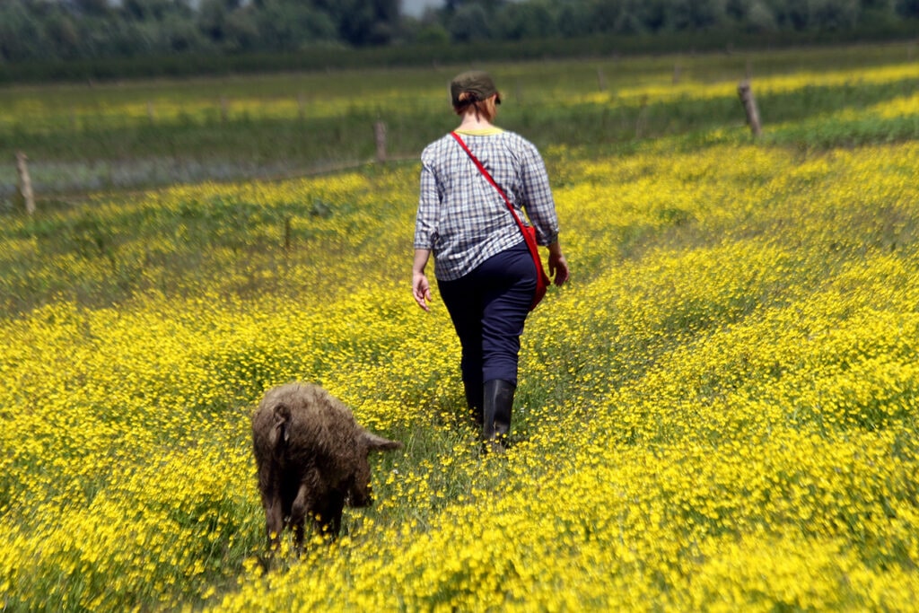Biodiversity flourishes as farmers return to collective ownership