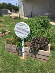 library community garden