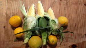Corn from the harvest